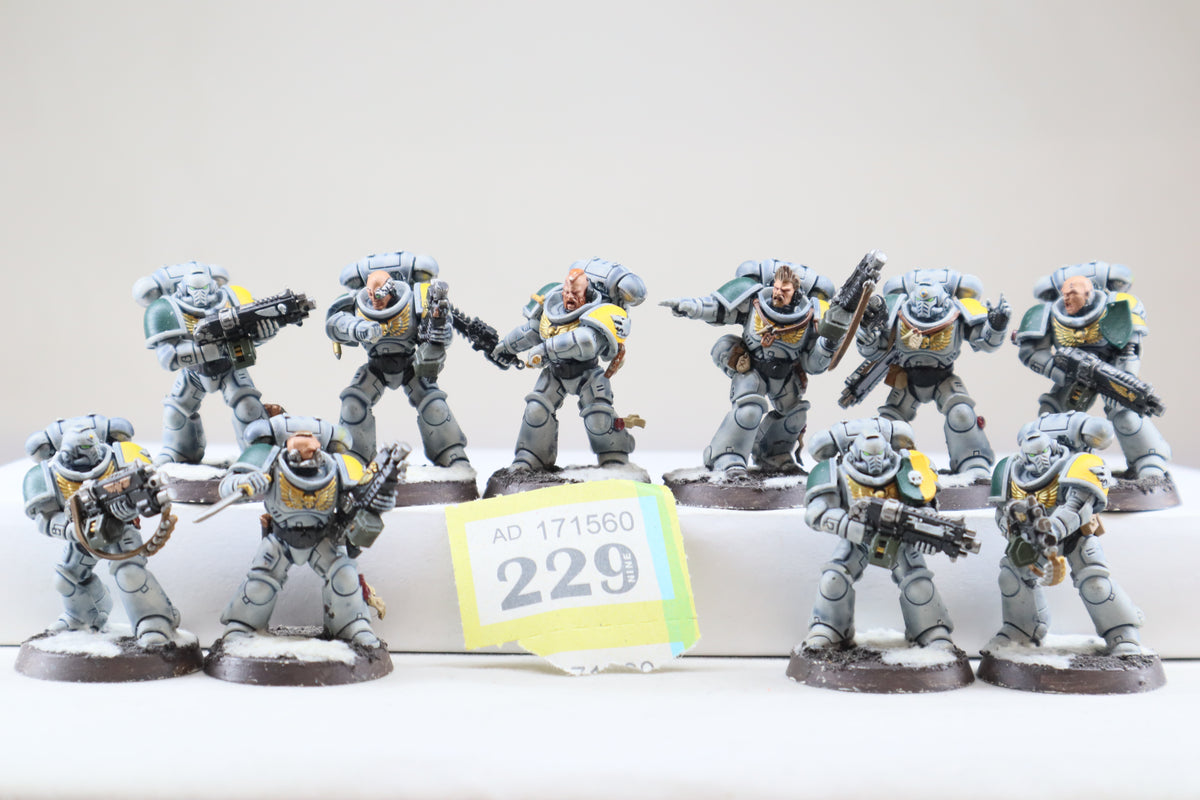 Space Wolves Intercessors Squad