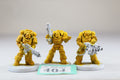 Heavy Intercessor Squad