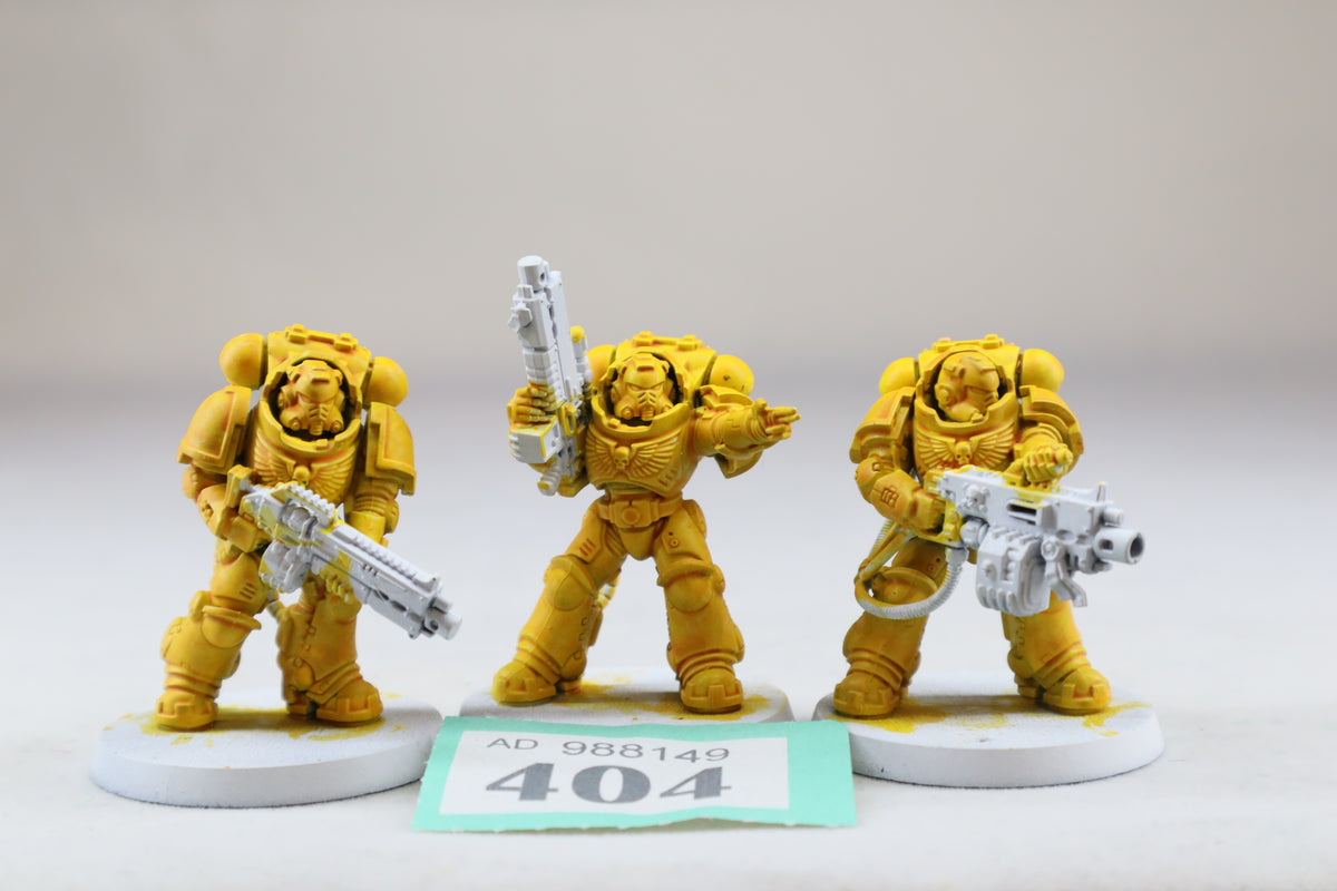Heavy Intercessor Squad