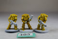 Heavy Intercessor Squad