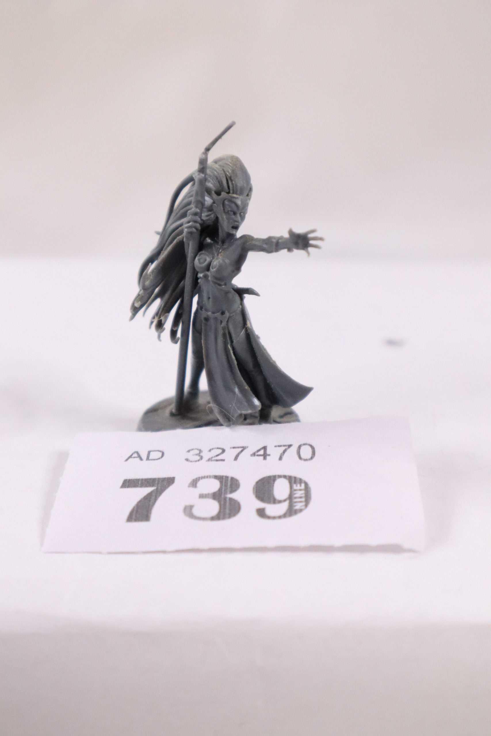 Dark elf sorceress