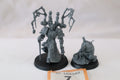 Fabius Bile