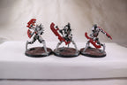 Skorpekh Destroyers