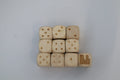 Wooden Dinosaur D6 x10