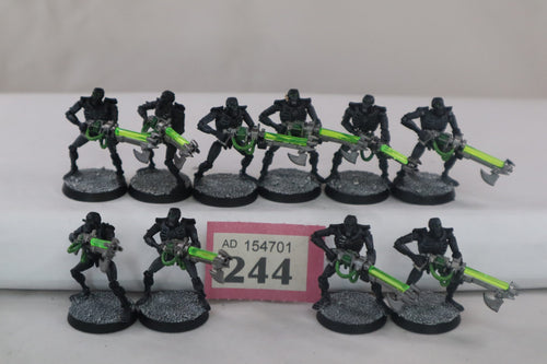 10 Necron Warriors