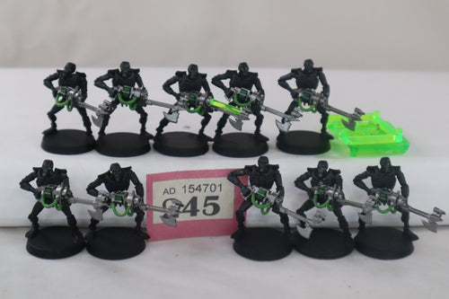 10 Necron Warriors