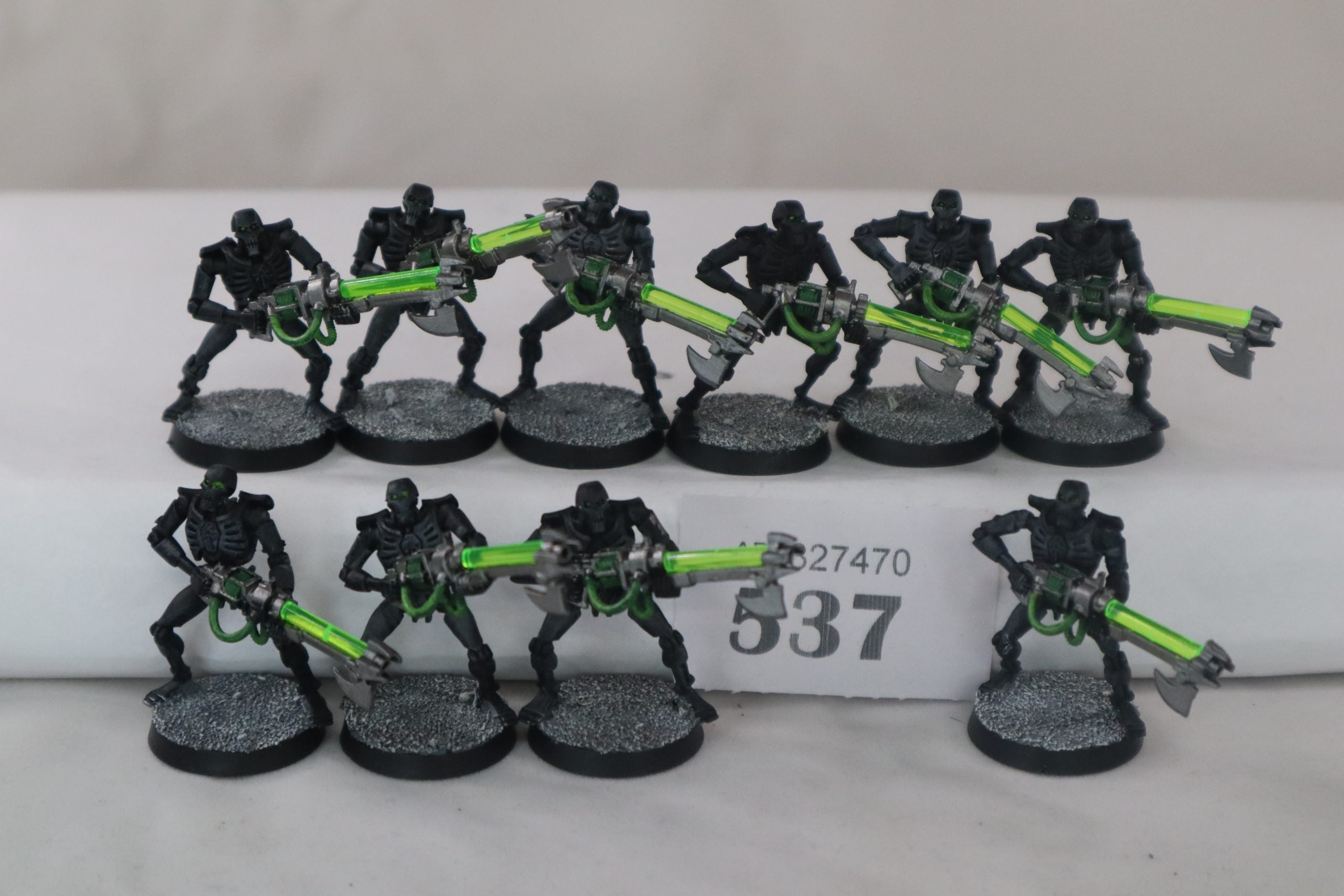 10 Necron Warriors