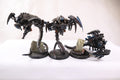 Canoptek Wraiths