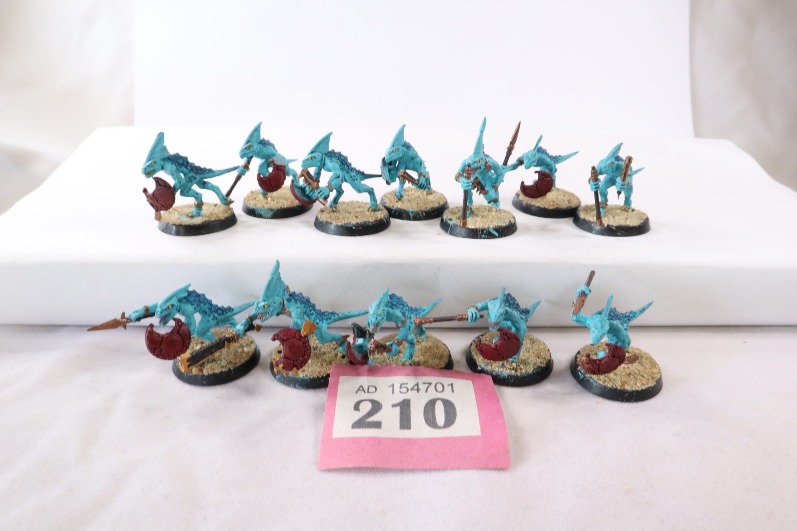 12 x Skinks