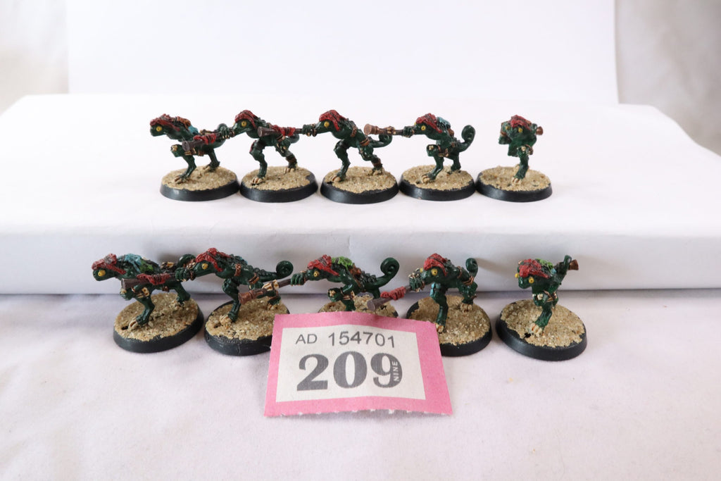 10 x Skinks