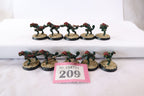 10 x Skinks