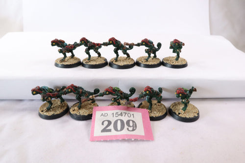 10 x Skinks