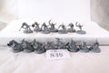 15 x Skinks