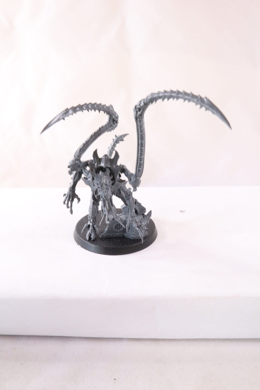 Lictor