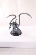 Lictor