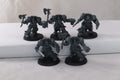 Wolf Guard Terminators