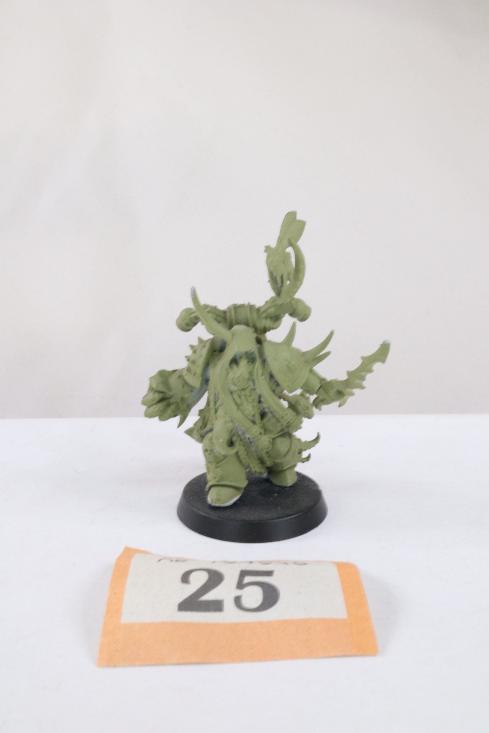 Plague Marine Champion