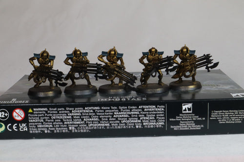 5 x Immortals Built And Painted With Box