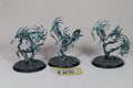Spirit Hosts