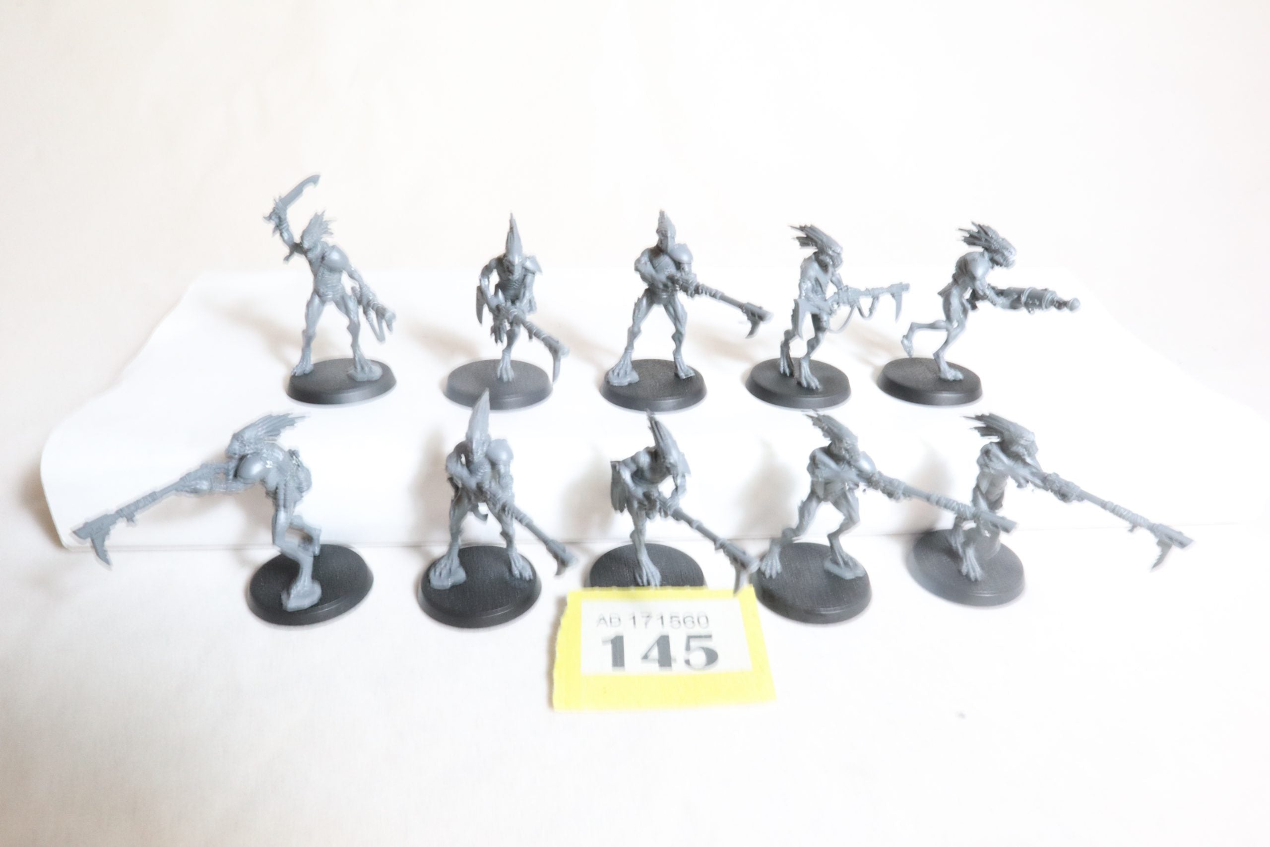 Kroot Carnivores