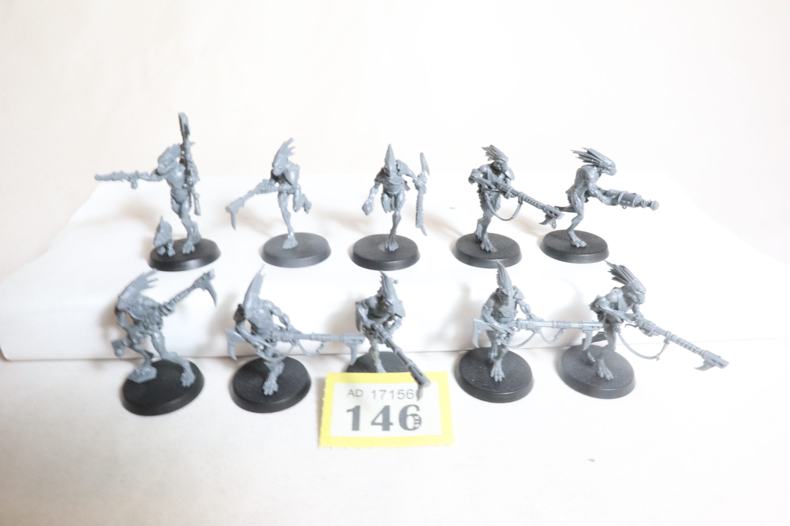 Kroot Carnivores