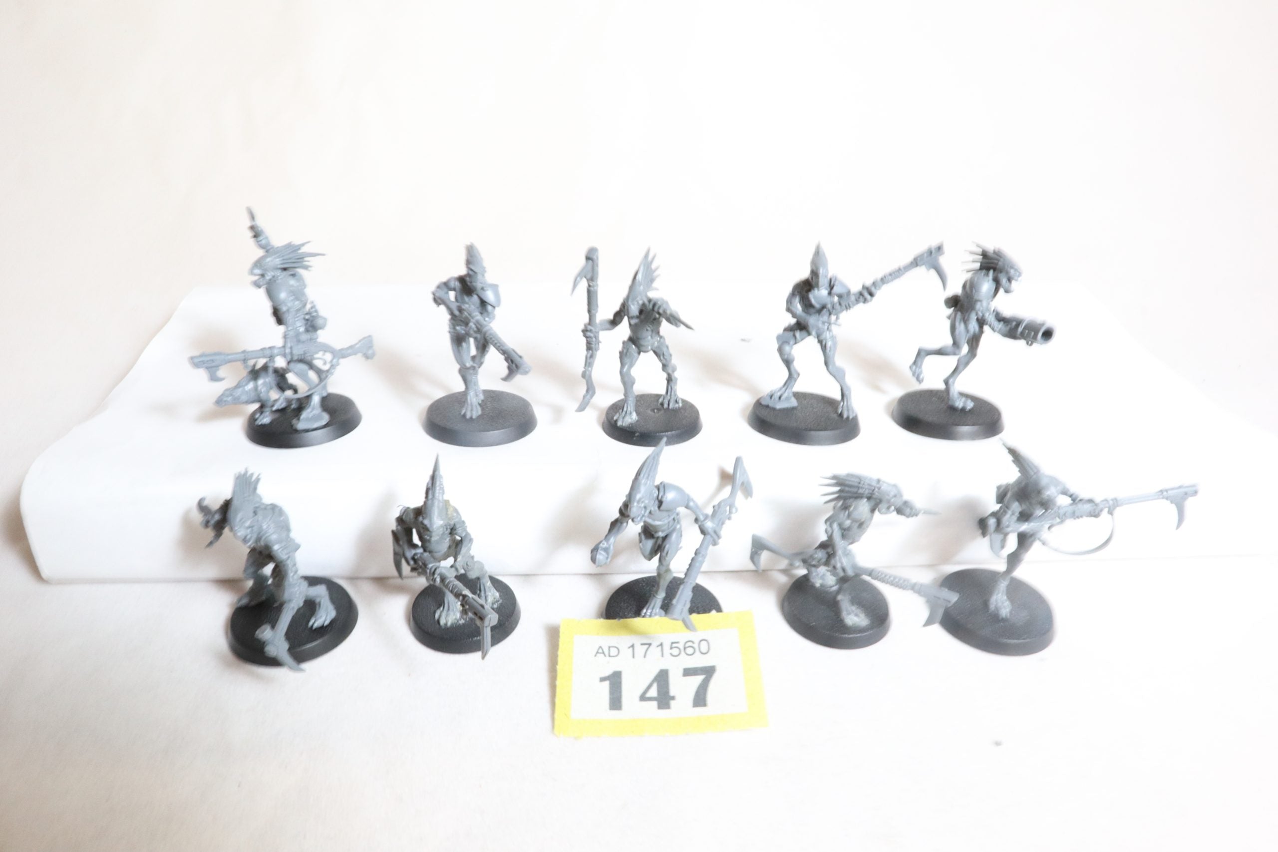 Kroot Carnivores