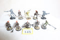 Kroot Carnivores
