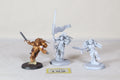 Sanguinary Guard