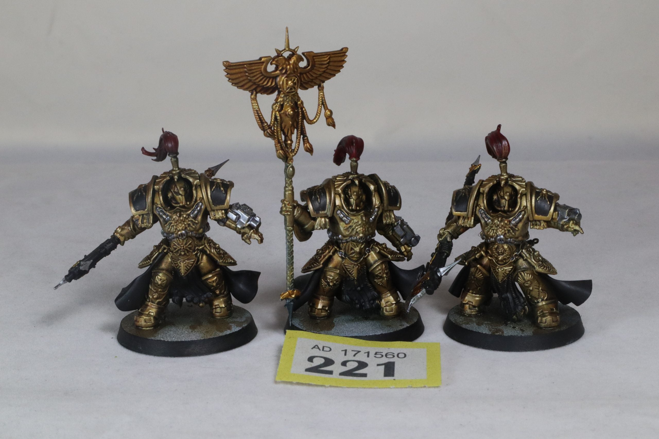 Allarus Custodians Well Painted