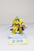 Primaris captain in terminator armour