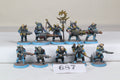 10 x Neophyte Hybrids