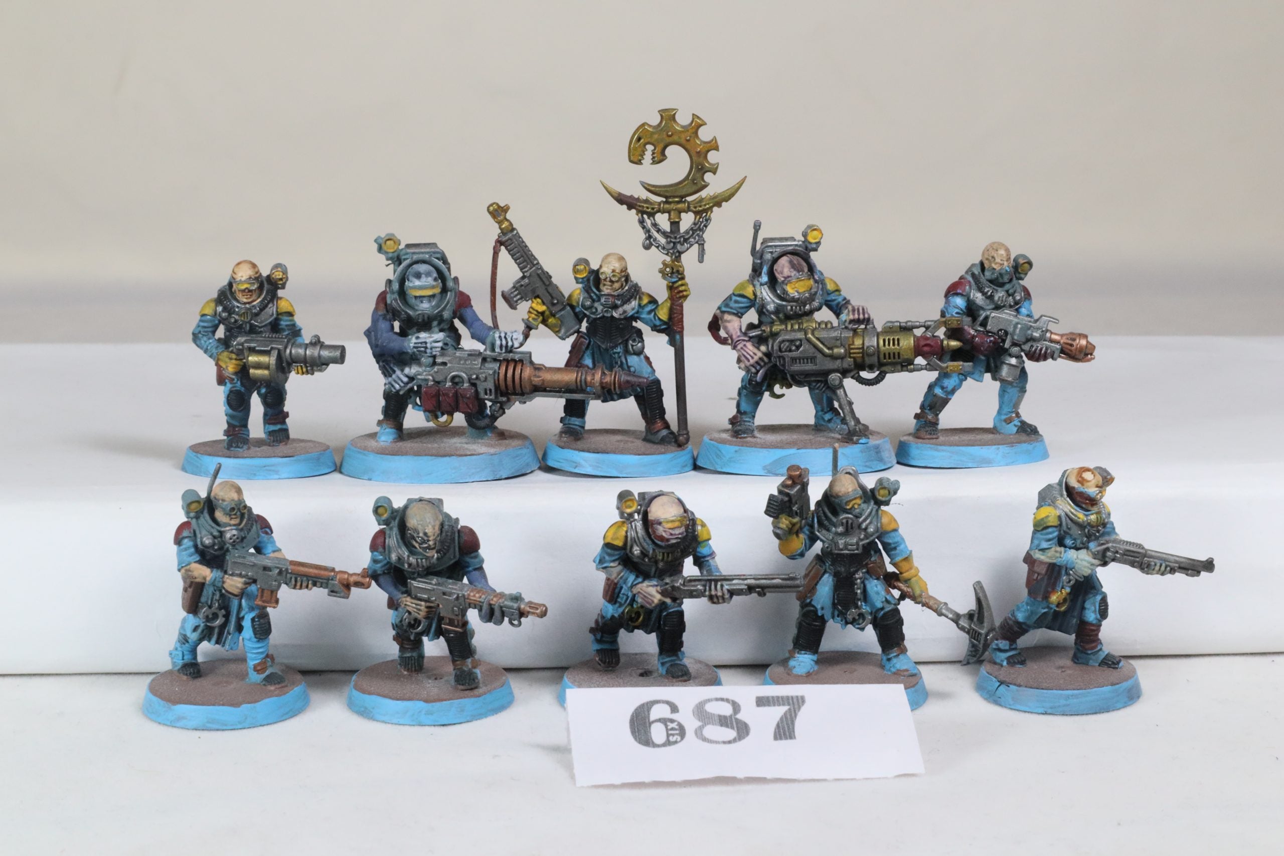10 x Neophyte Hybrids