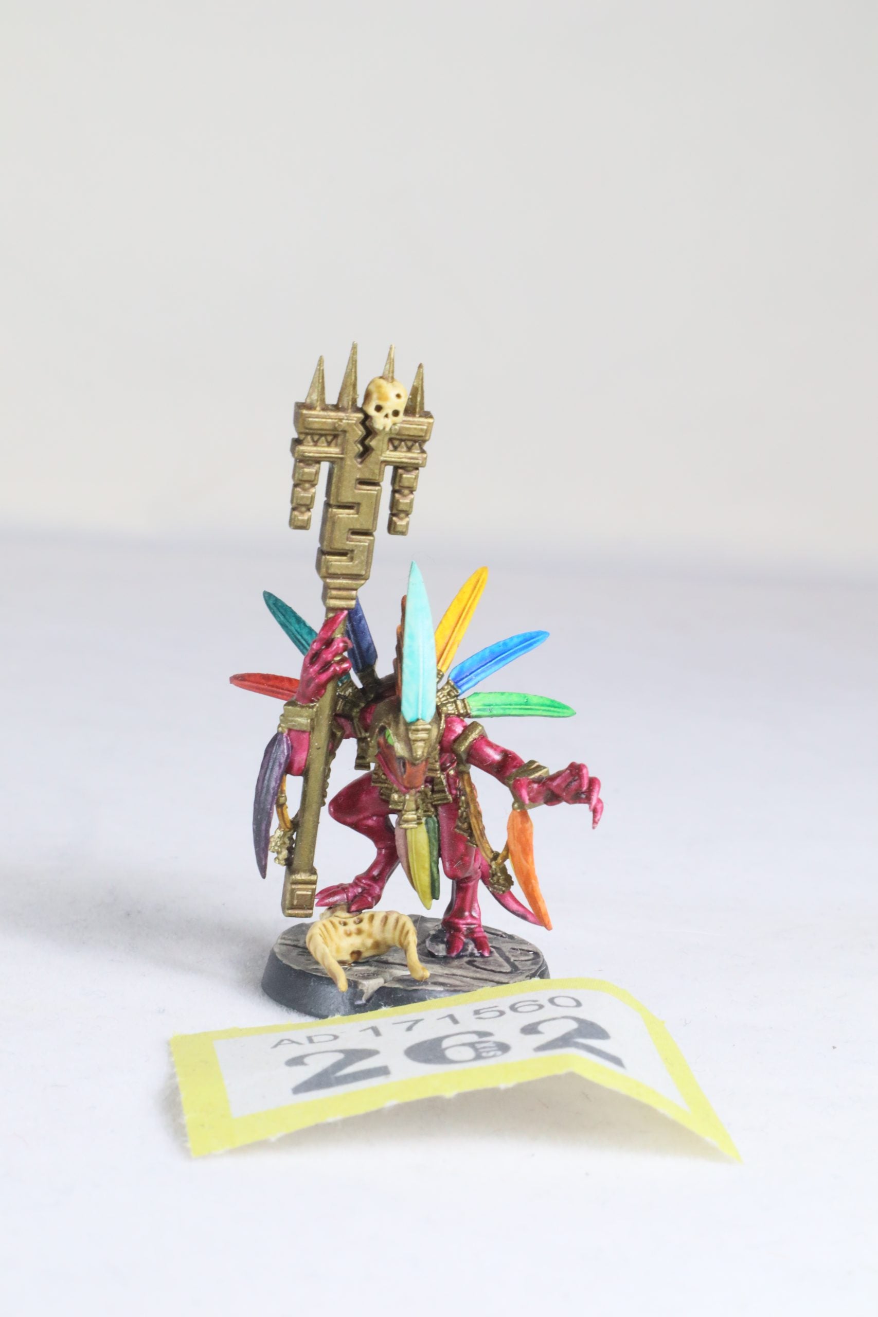 Skink Starpriest Y262