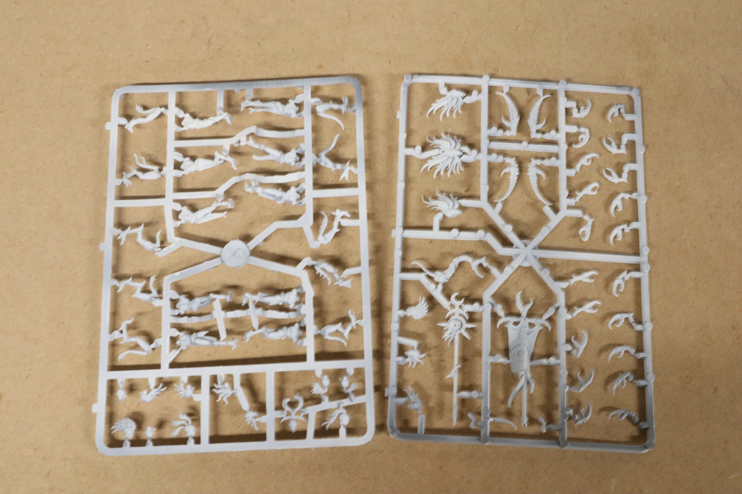 Daemonettes of Slaanesh (On Primed Sprue)