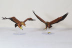 Great Eagles of the Misty Mountains