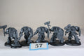 Terminator Assault Squad