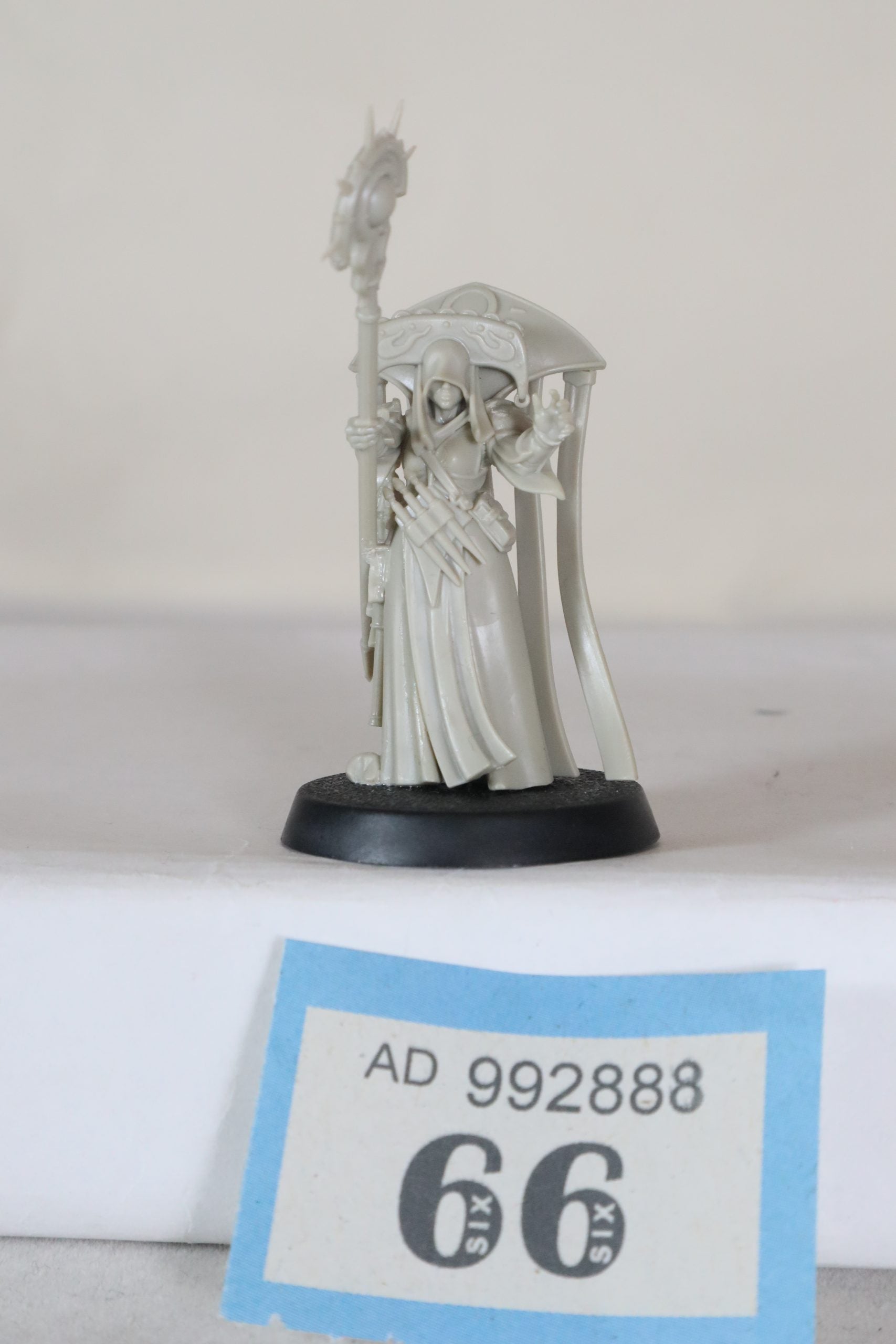 cleona zeitengale built undercoated