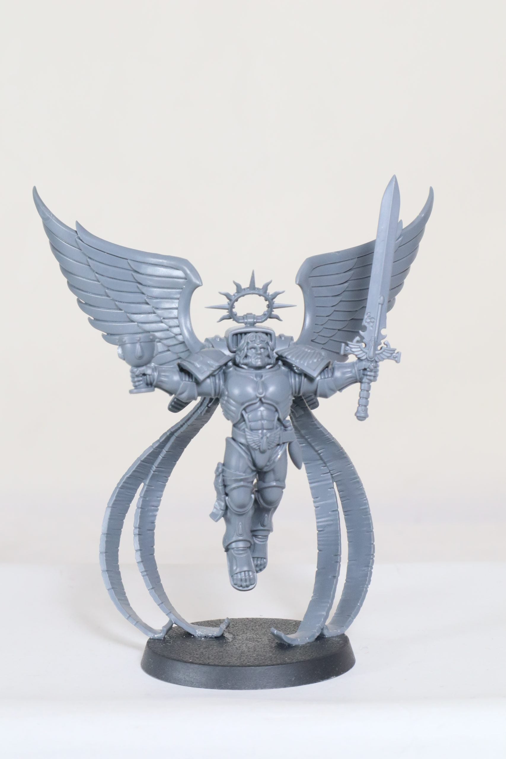 The Sanguinor