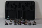 Sepulchral Guard With Cards And Foam Insert