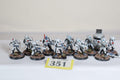 Fire warriors