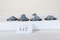 tyranid corruption bases