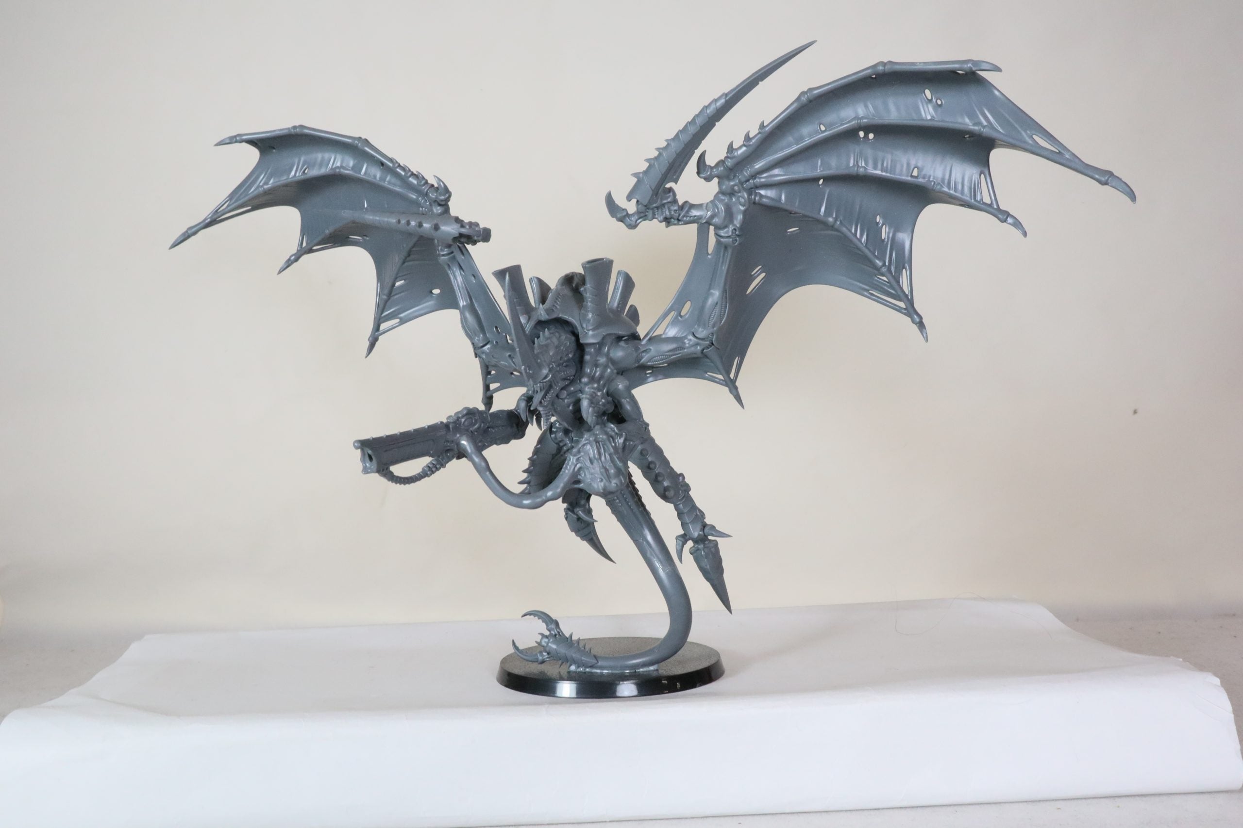 Winged Tyrant