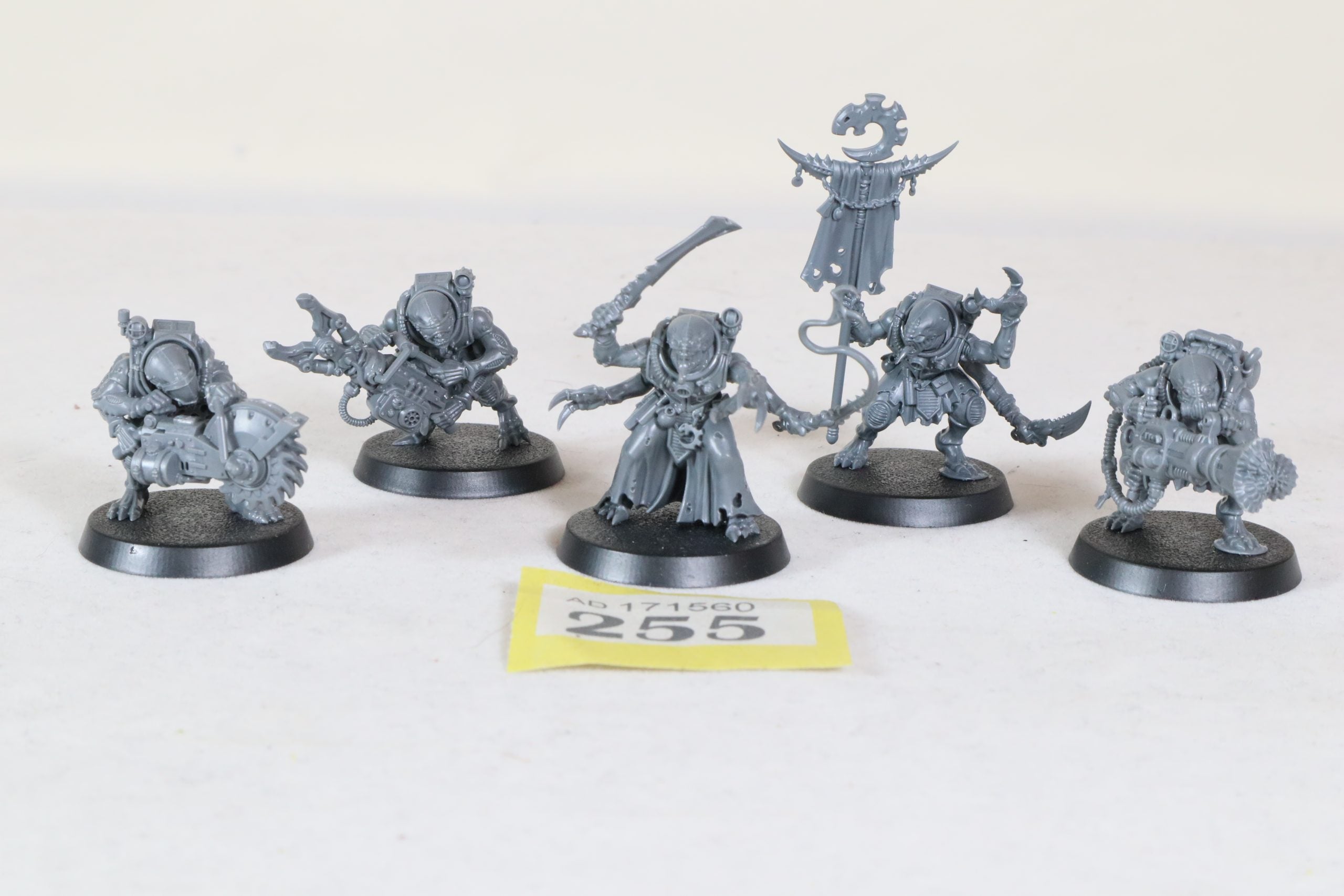 Acolyte Hybrids