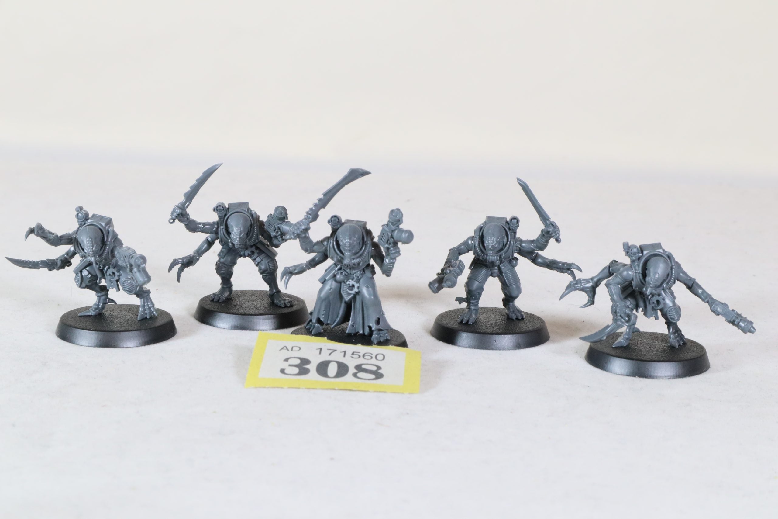 Acolyte Hybrids