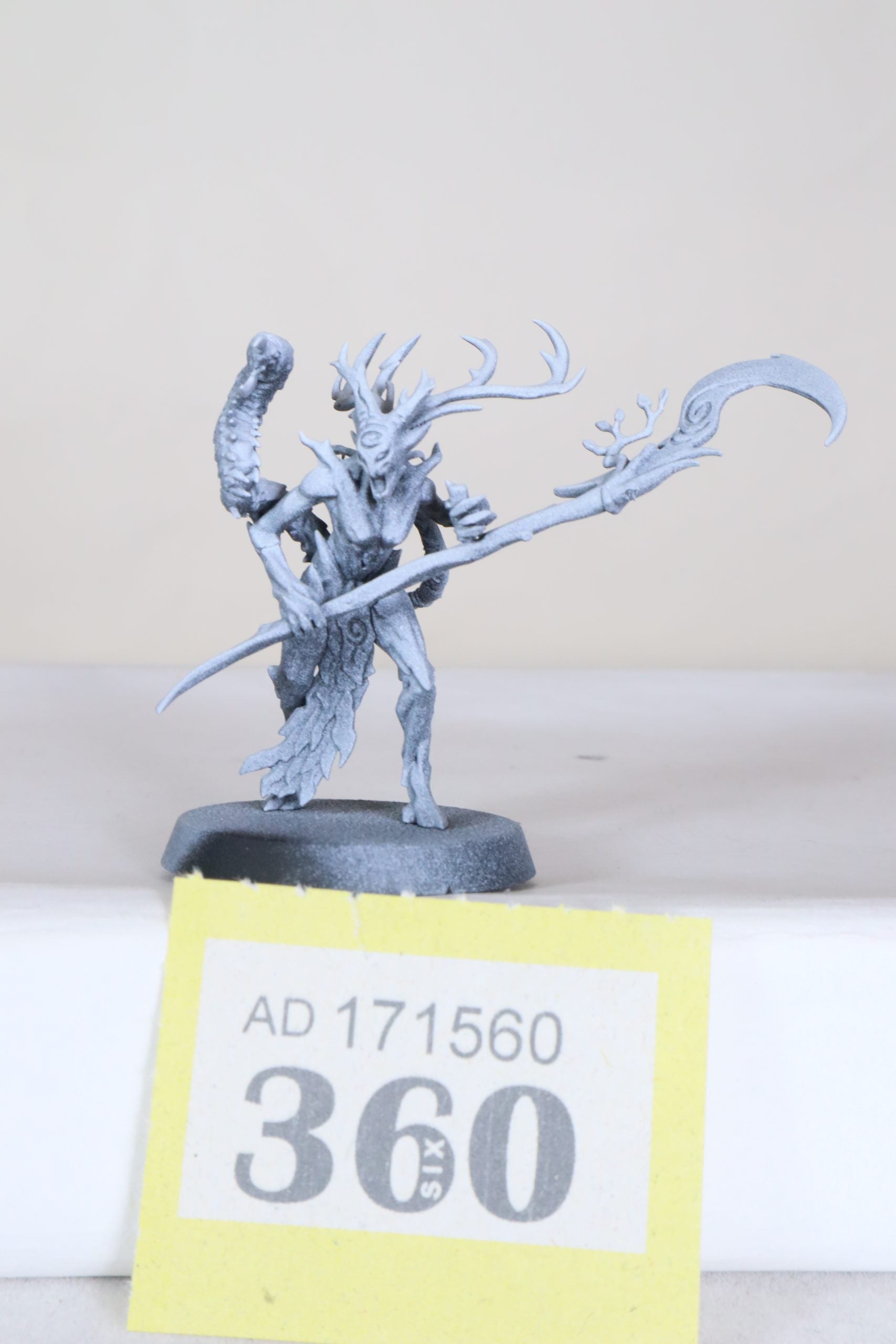Branchwych