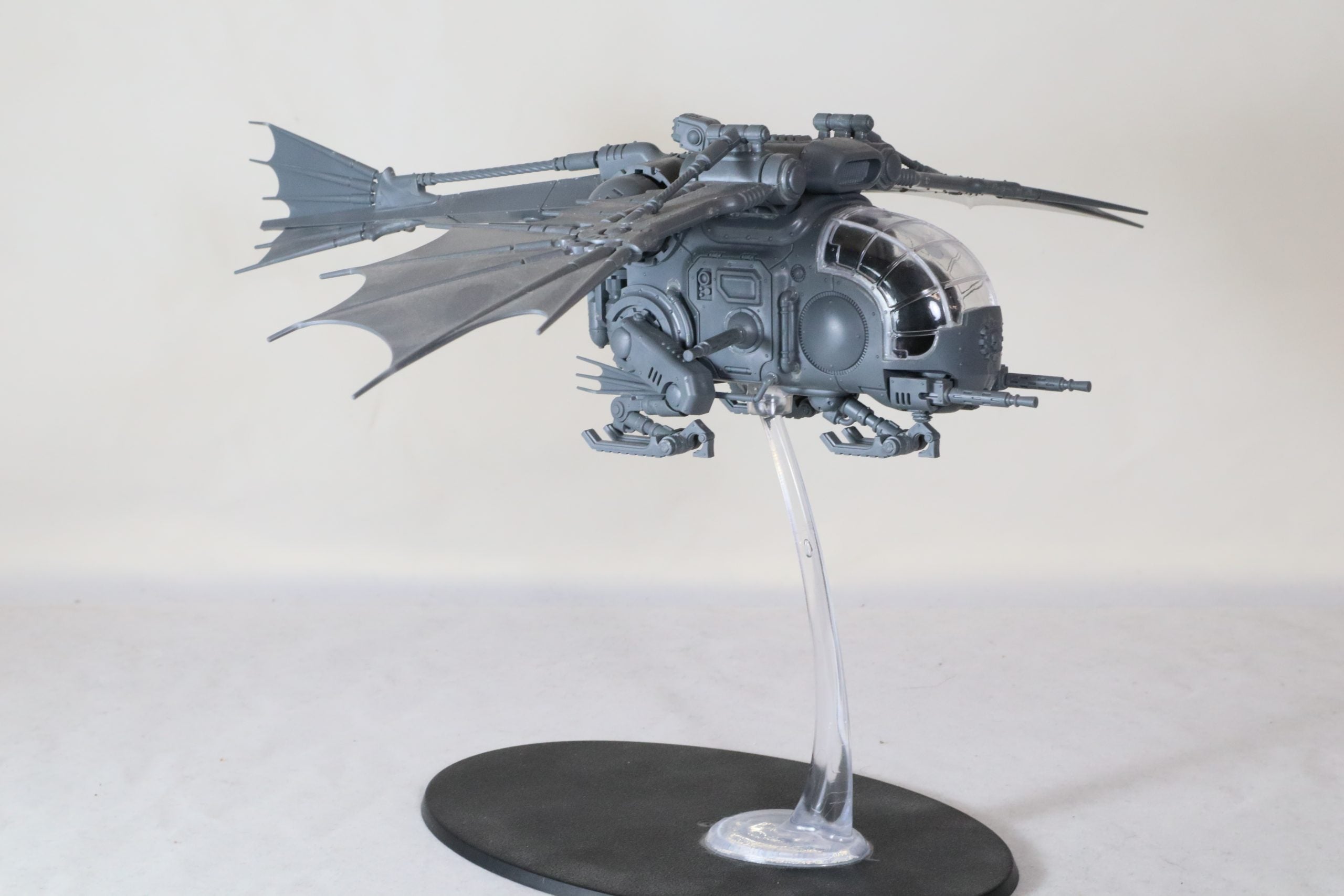 Archaeopter Stratoraptor
