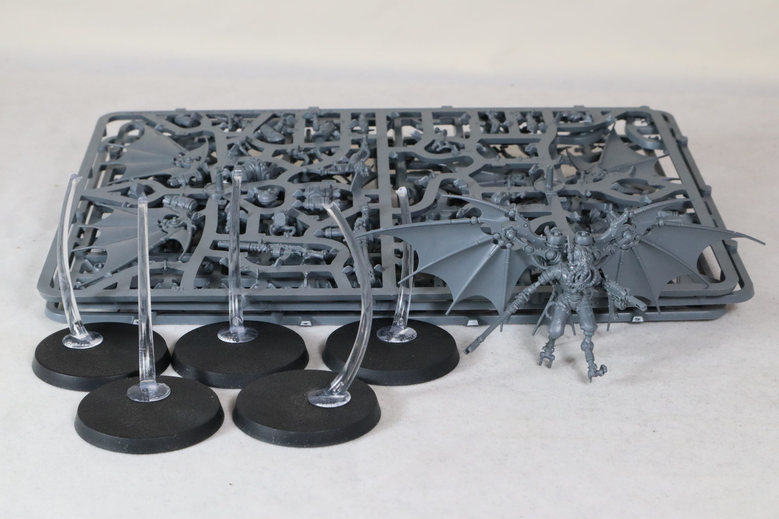 Pteraxii Sterylizors/Stalkers (Part built)