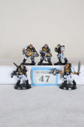 Scout squad