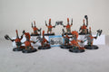 Vulkite Berzerkers