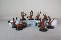 Vulkite Berzerkers